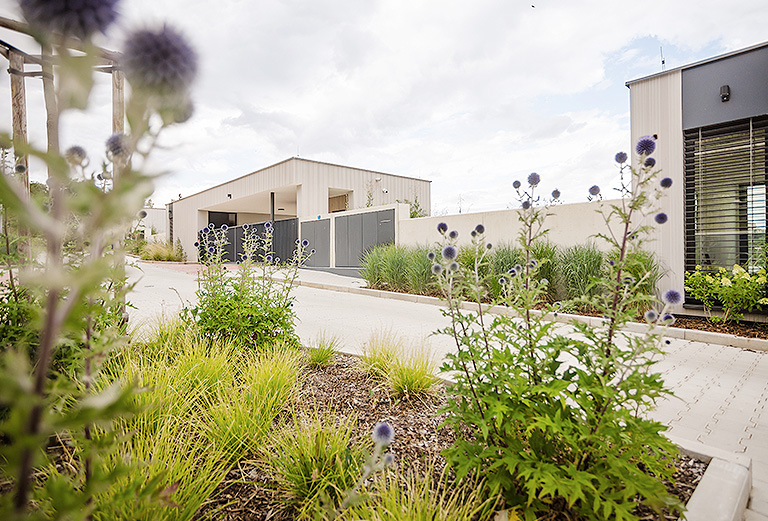 Nominovaný projekt: