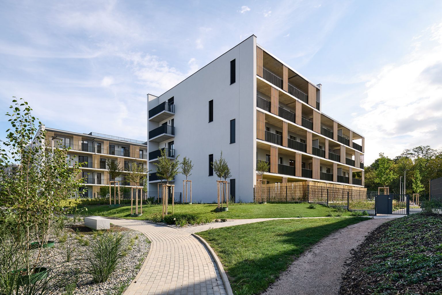 _TOM5511 kopie 2